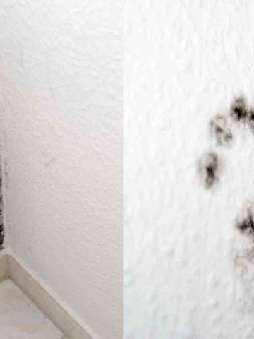 How To Get Rid Of Mildew Smell