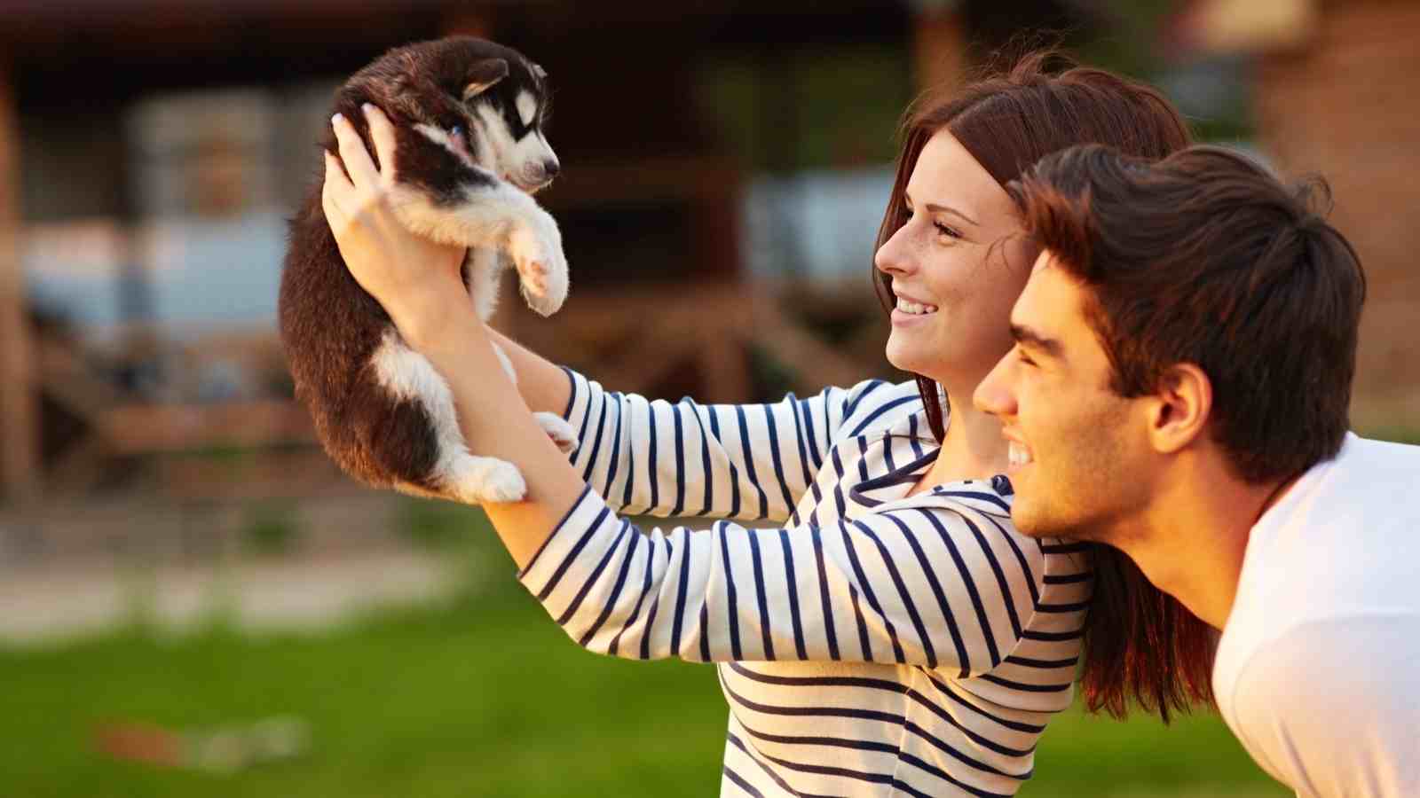 Tips for Getting Your Dog Used to a New Family Member