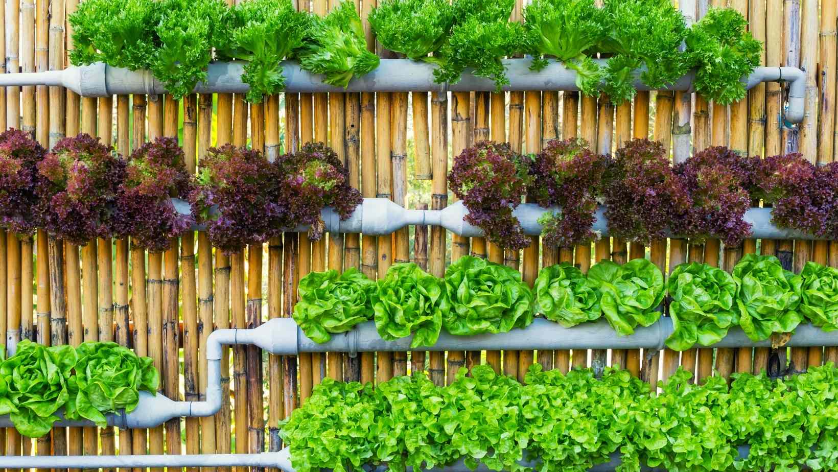 Tips To Plan Before Starting Your Own Hydroponic Garden 3 Storage Container