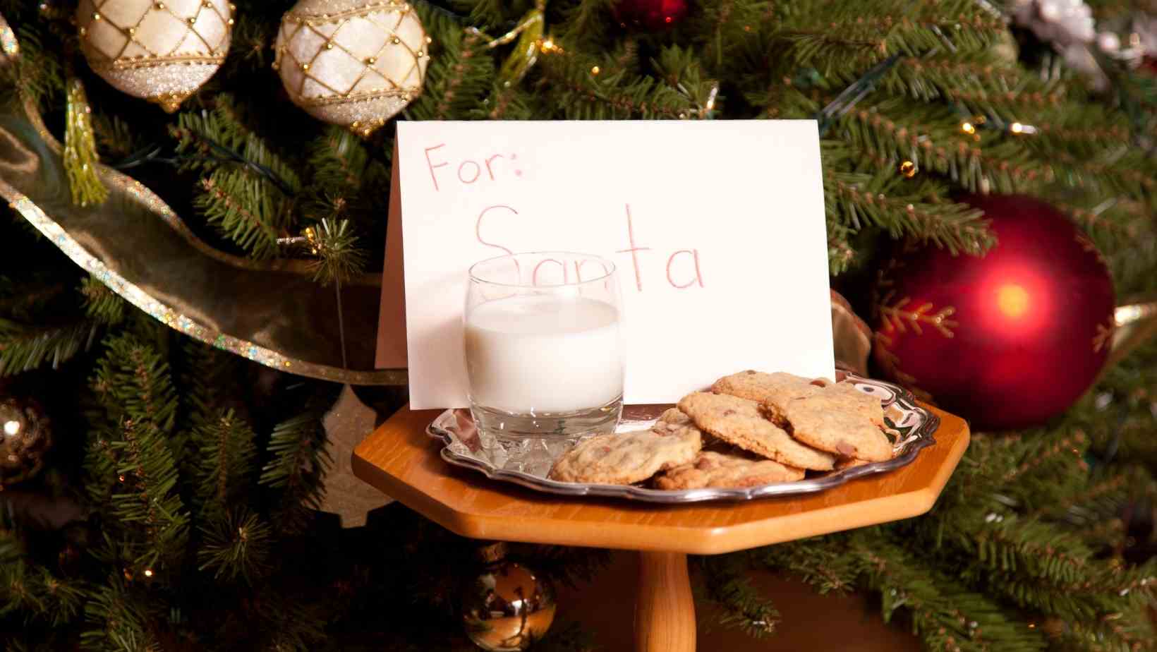 SNACKS FOR SANTA