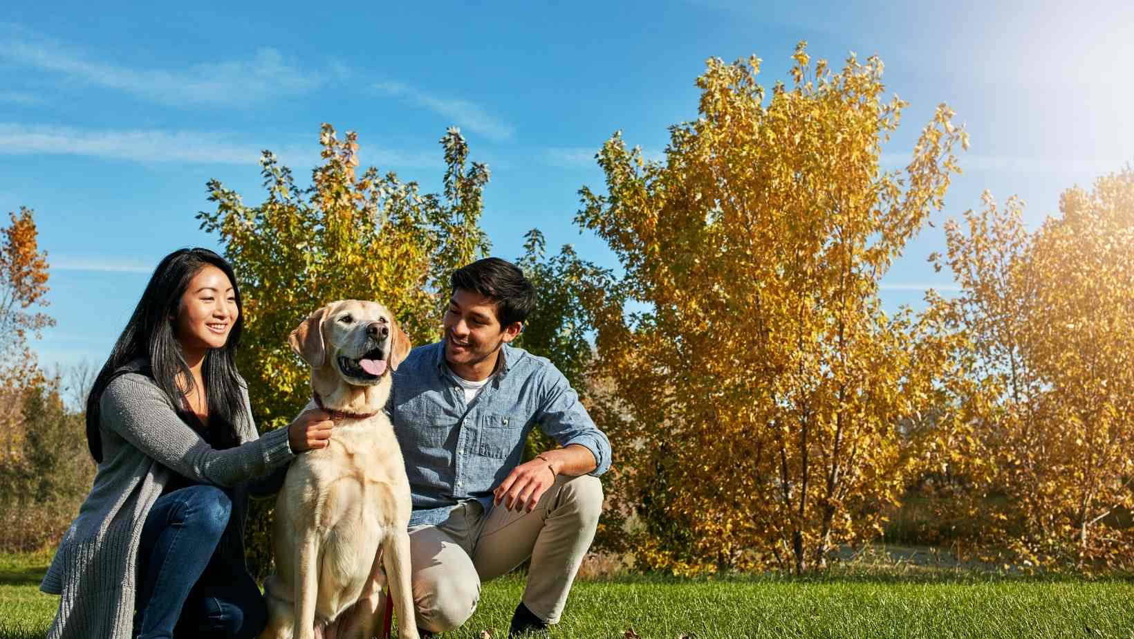 Environmentally-Friendly Way to Dispose of Your Pup’s Waste