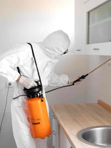 Home Pest Control Methods