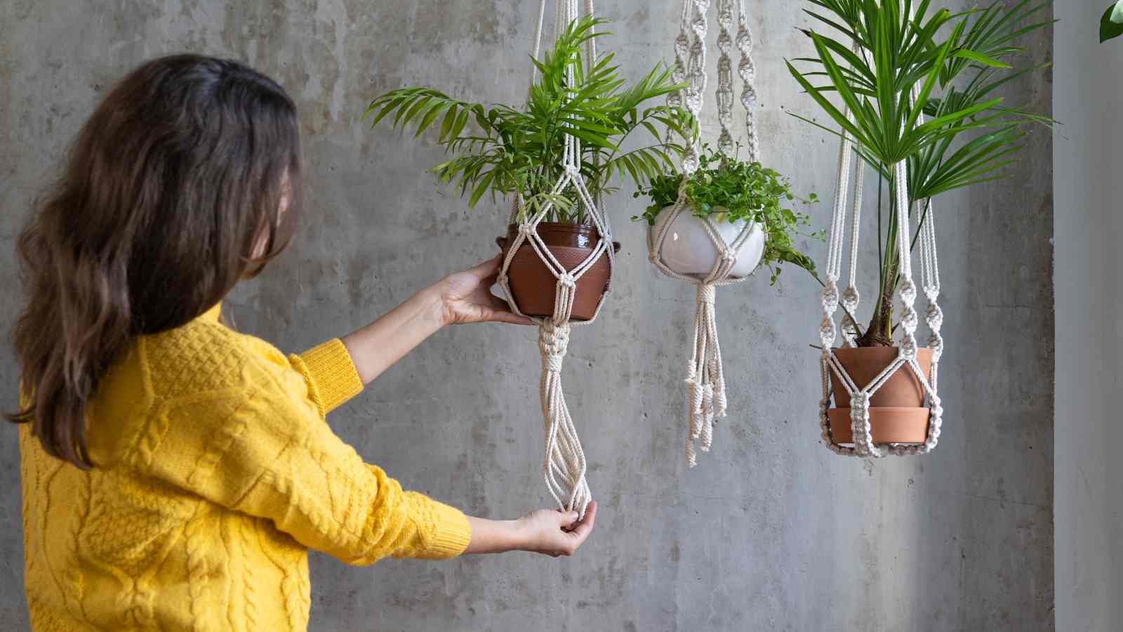Cool DIY Hanging Garden