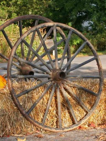 Thanksgiving Outdoor Decoration