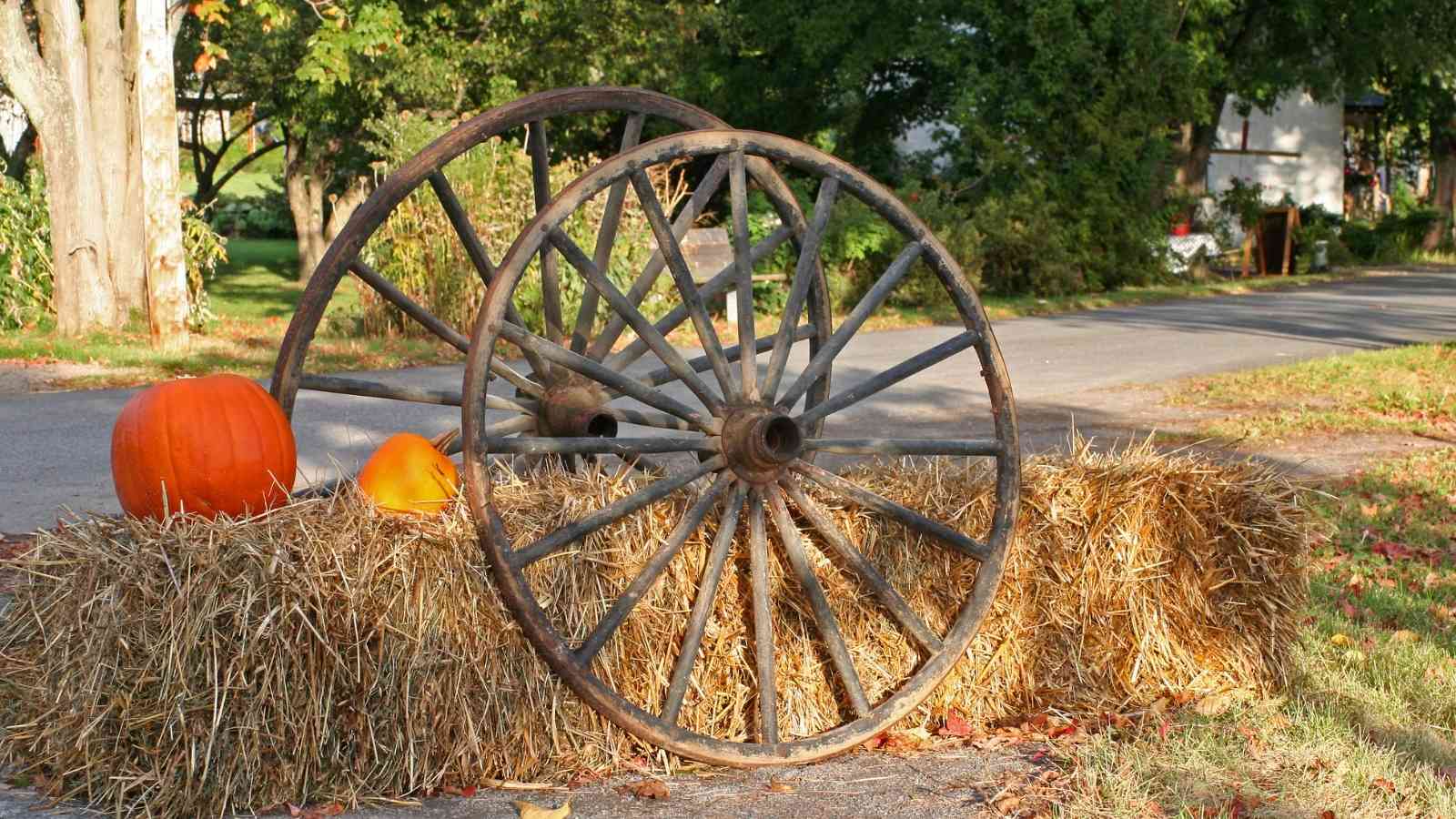 Thanksgiving Outdoor Decoration