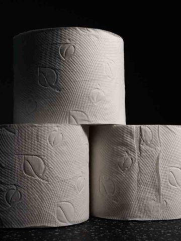 compostable toilet paper