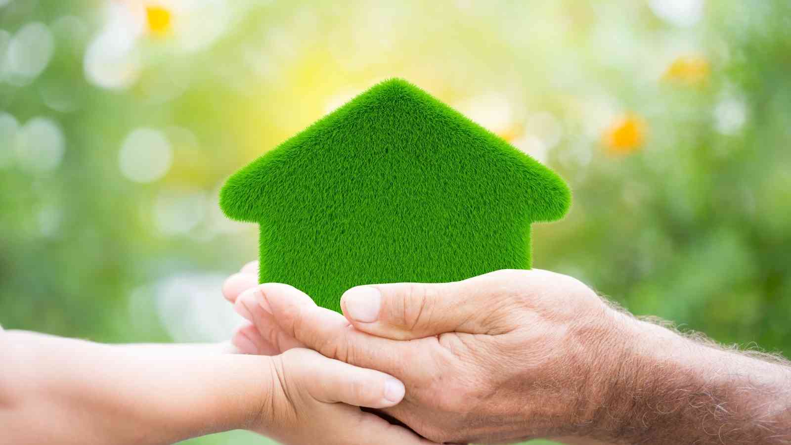 Eco-Friendly Home Improvement Projects