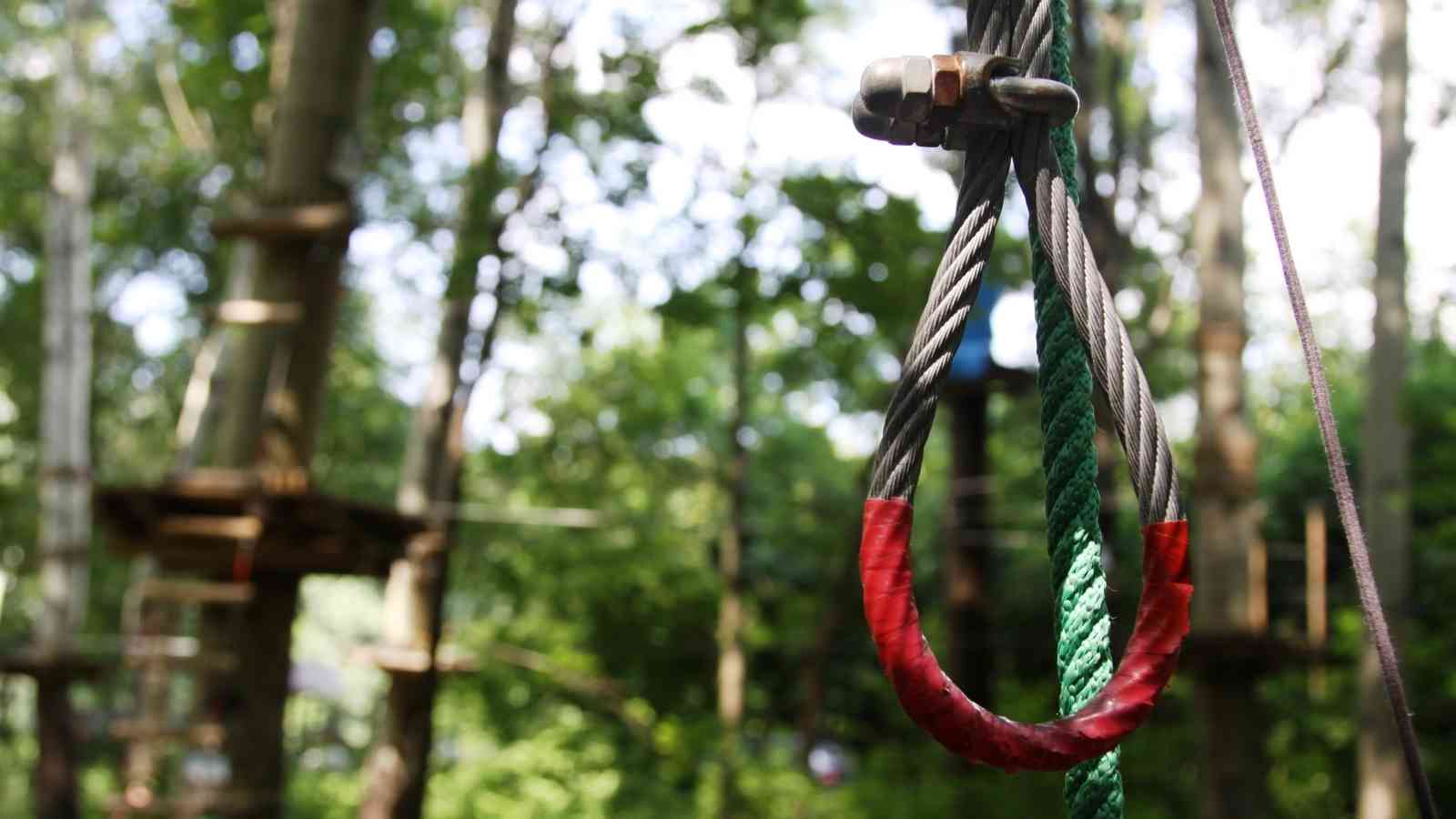 Adventure Course offer