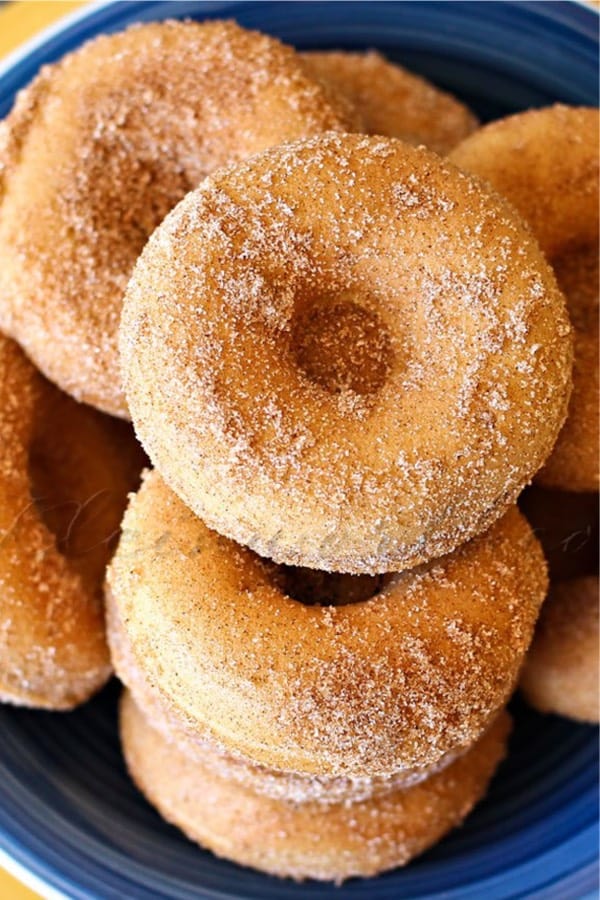 BAKED CHURRO DONUTS
