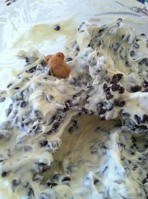 Chocolate Chip Cheesecake Dip