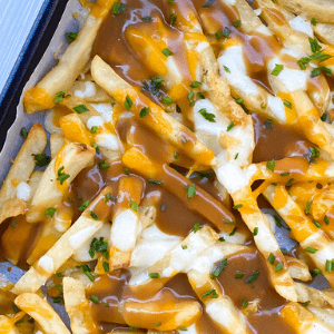 Gravy Mozzarella Fries