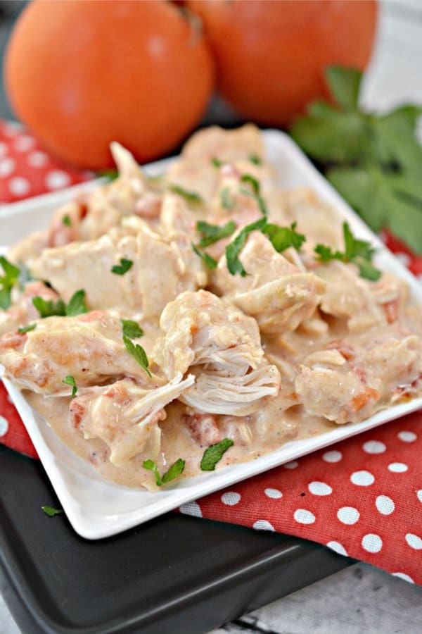 26 Tasty Instant Pot Chicken Recipes: Quick & Easy Guide 8 INSTANT POT QUESO CHICKEN