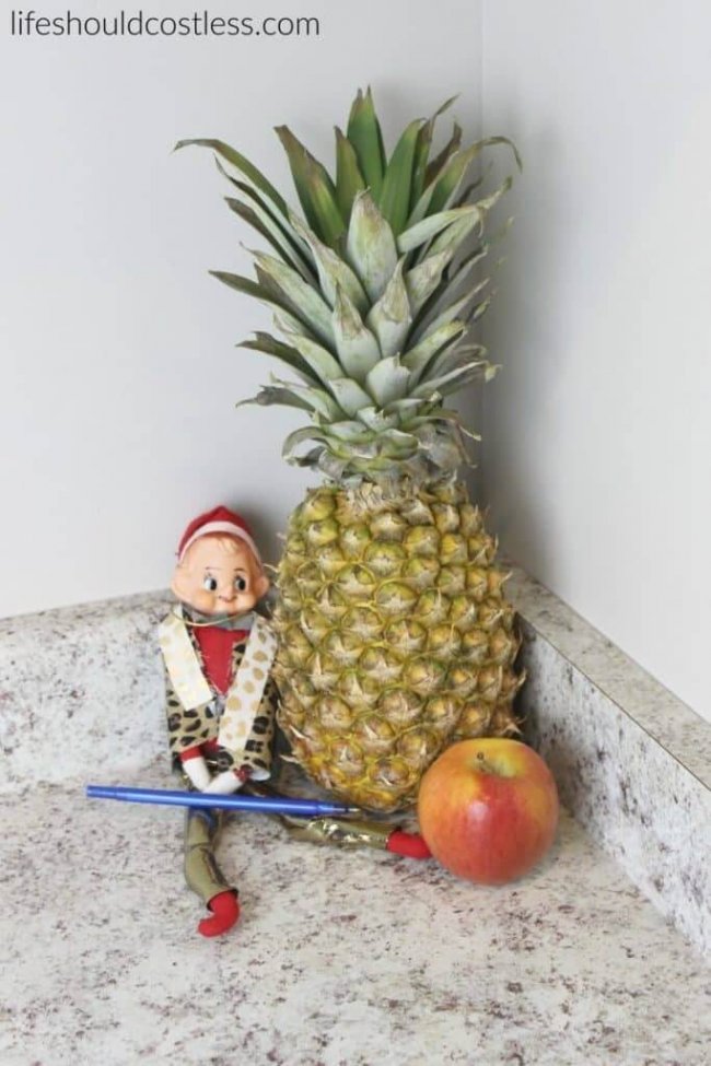 PPAE Pen Pineapple Apple Elf
