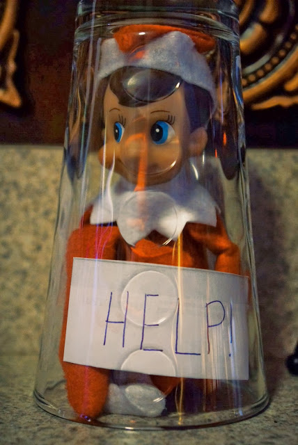 Trapped Elf