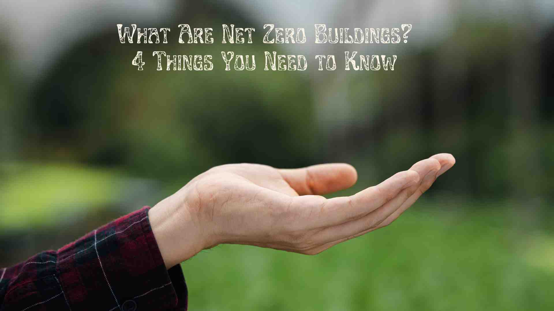 What Are Net Zero Buildings