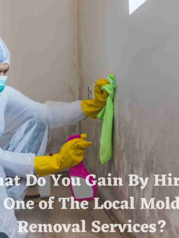 What Do You Gain By Hiring One of The Local Mold Removal Services