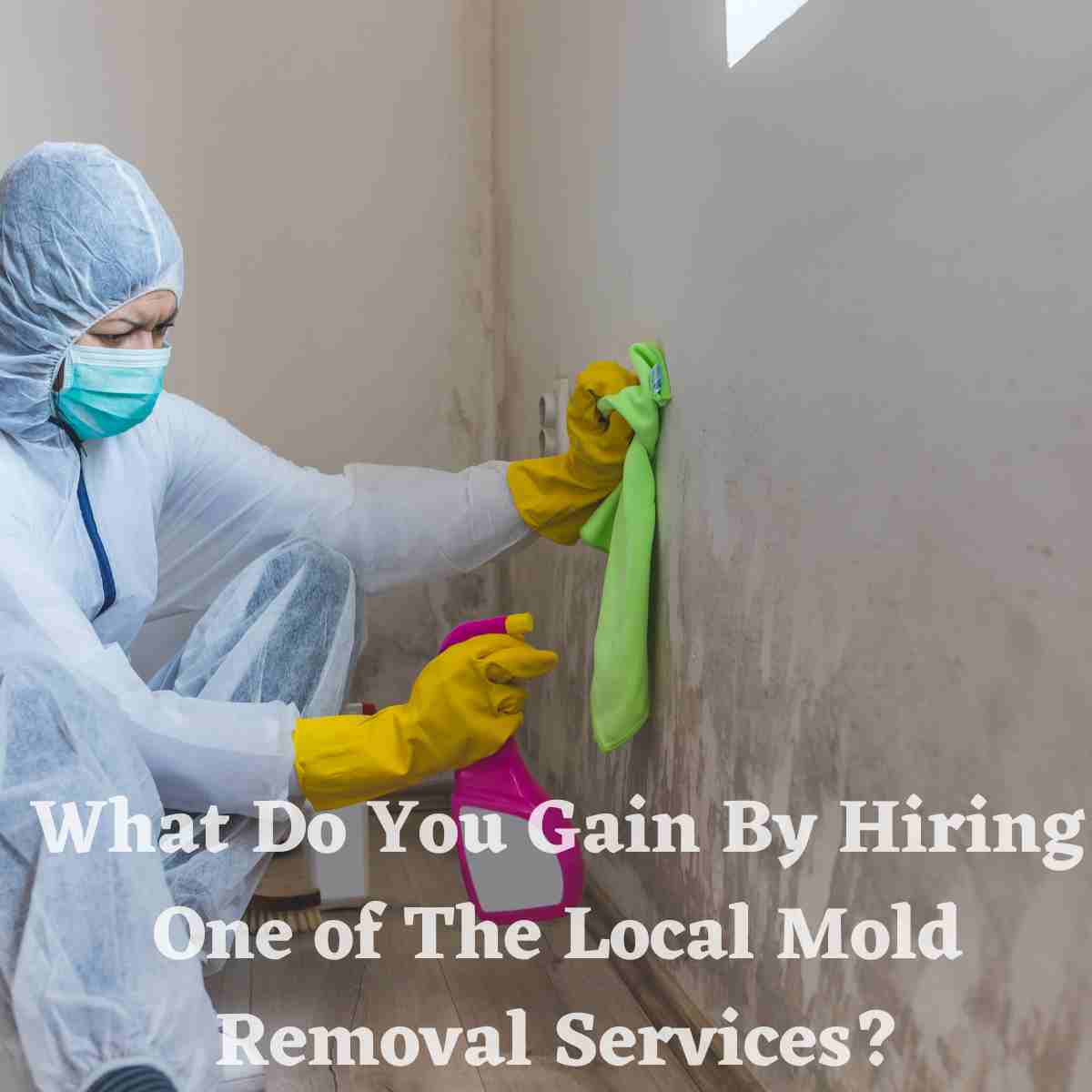 Hiring One of The Local Mold Removal Services