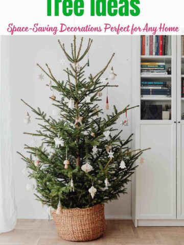 Small Christmas Tree Ideas