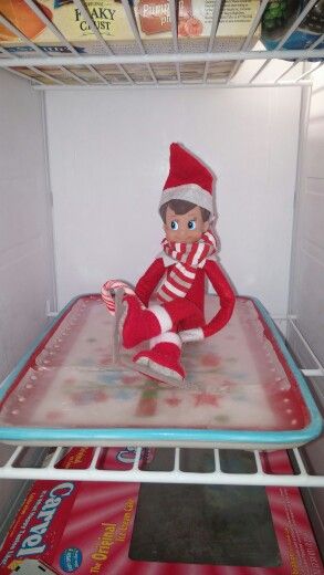 Elf is learning Ice Skating in the Freezer