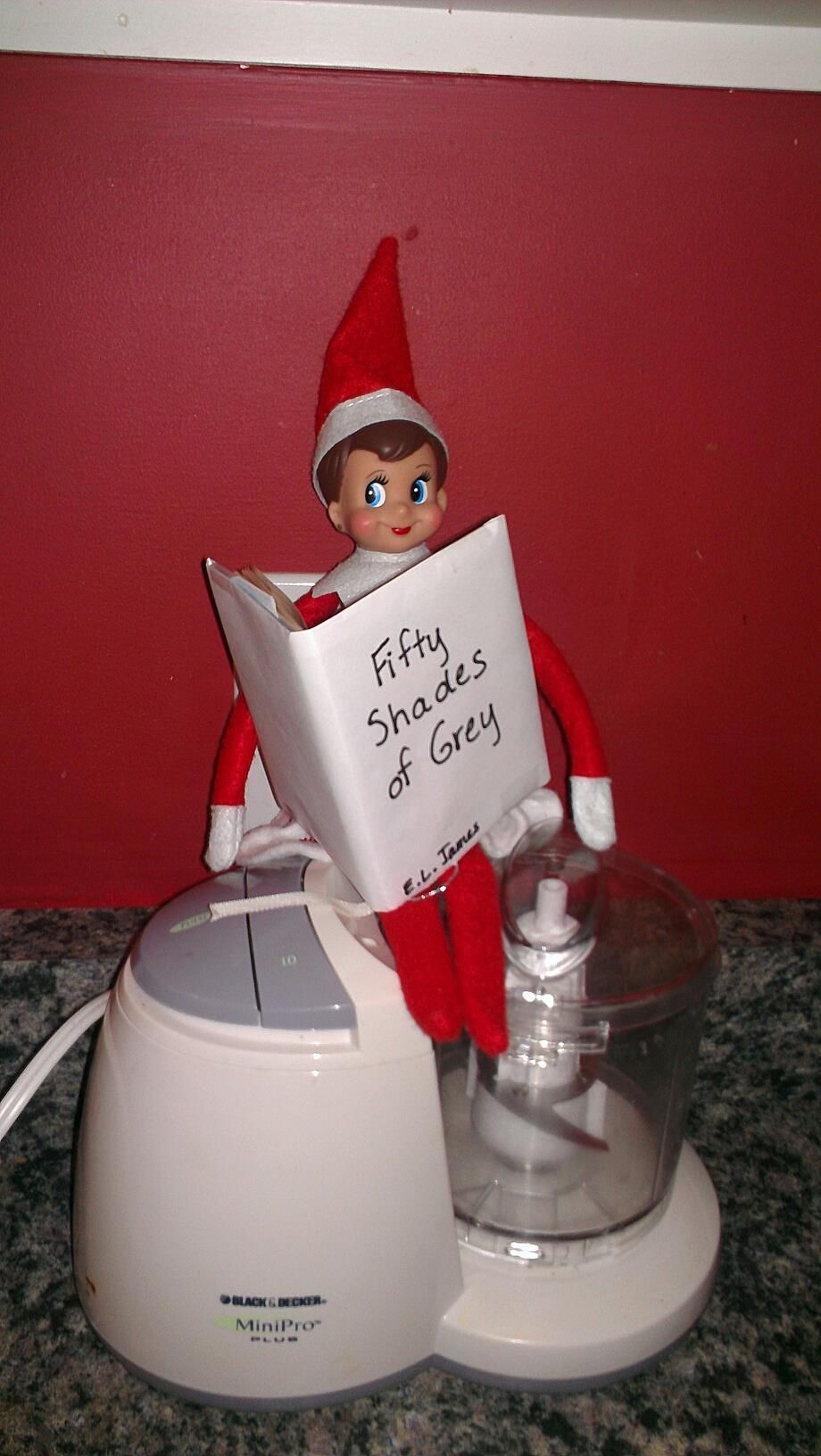 Elf reading Fifty Shades of Grey