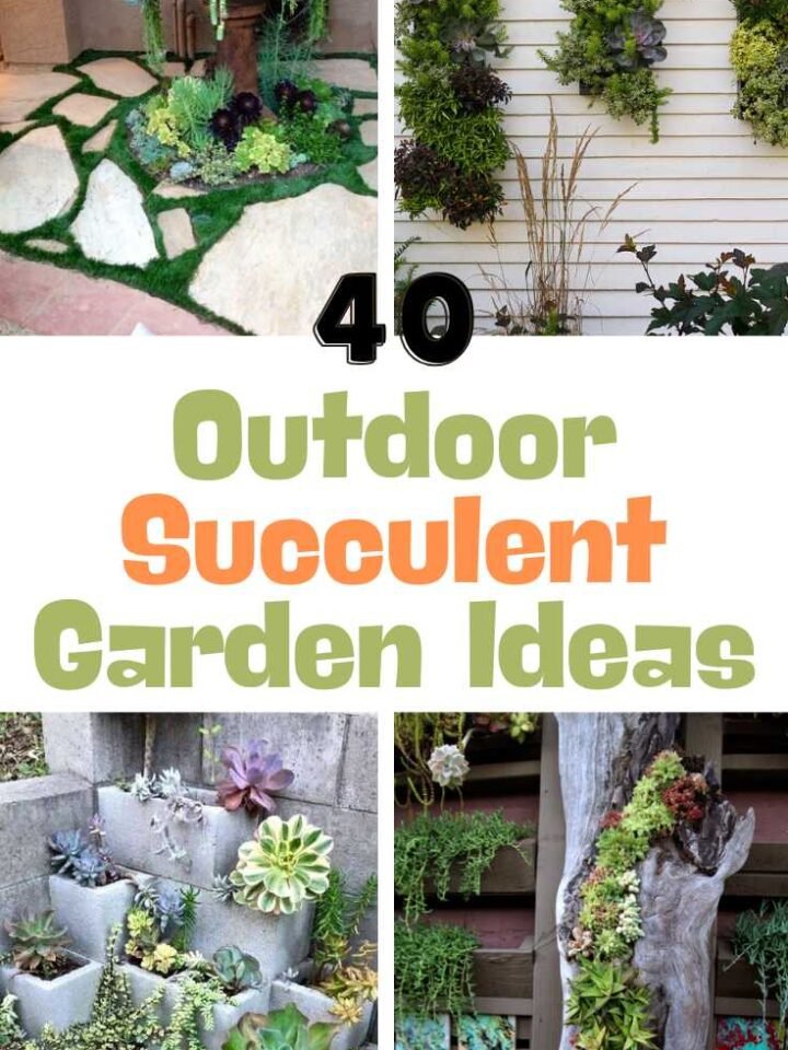 40 DIY Wall Garden Ideas To Transform Your Outdoor Living Space